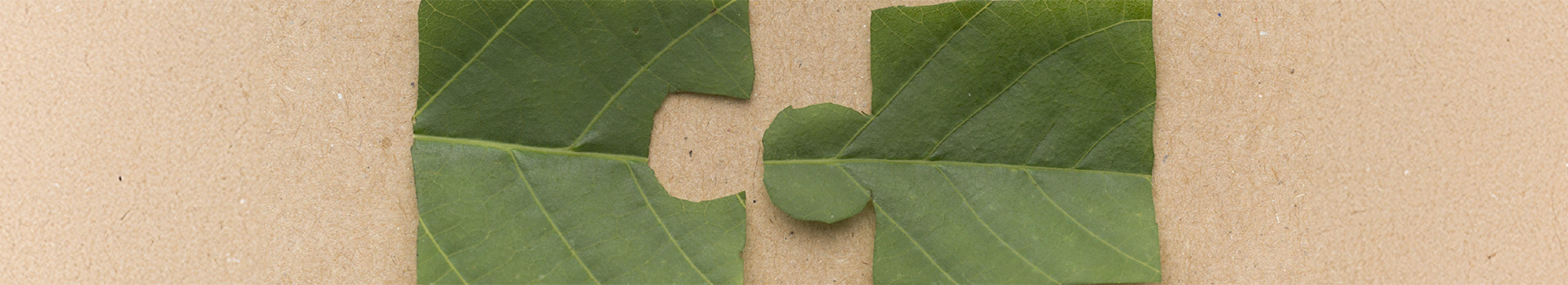 Performa - Serviços Ambientais